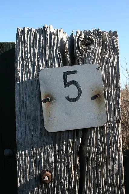 Moolank 5 numerology
