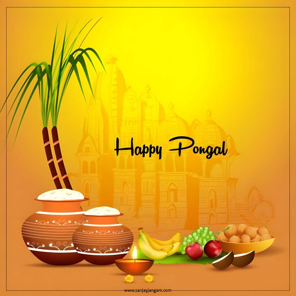 If You’re Waiting for Results, Read This on Pongal