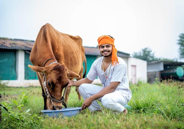 Why Shani Gets Pacified Through Service to Animals